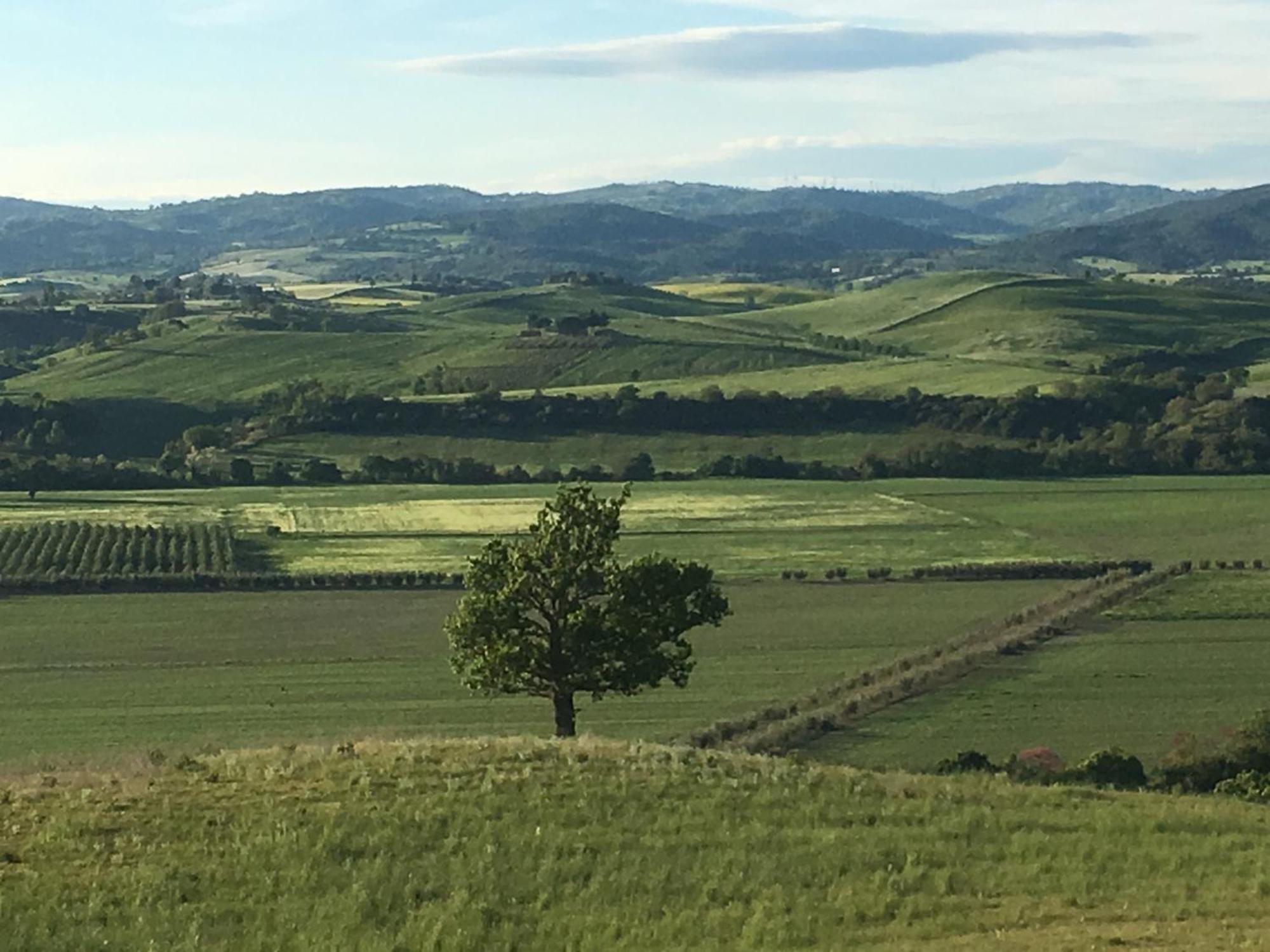 Agriturismo Fontenuova Сатурния Экстерьер фото